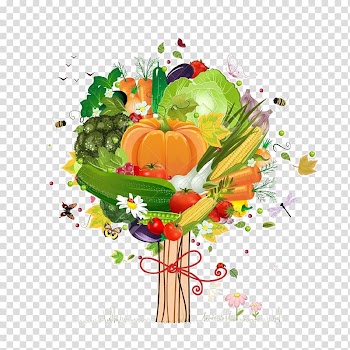 Vegetable Drawing , watercolor food transparent background PNG clipart