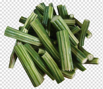 Vegetable Drumstick tree, Drumstick Cut transparent background PNG clipart