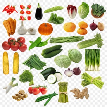 Vegetable Eggplant Computer file - vegetables 
