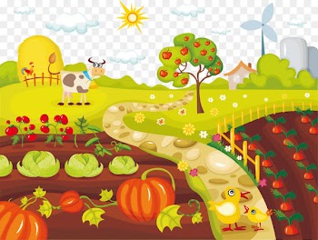 Vegetable farming Organic food Clip art - Vegetable farm chickens and cattle vector 