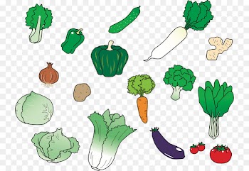 Vegetable Food Daikon Aubergines Carrot - vegetebles graphic 