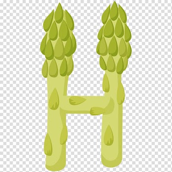 Vegetable Food Fruit Drawing, H transparent background PNG clipart