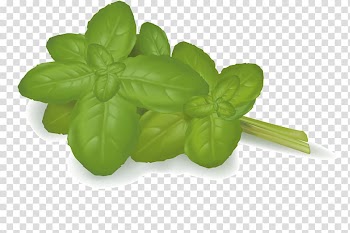 Vegetable Food Illustration, Cartoon green mint leaves transparent background PNG clipart