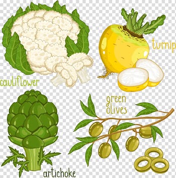 Vegetable Food Illustration, Cauliflower transparent background PNG clipart