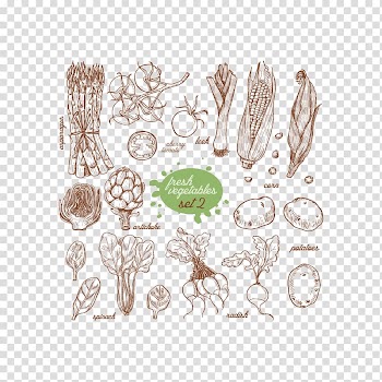 Vegetable Food Illustration, Vegetables avoid drawing transparent background PNG clipart