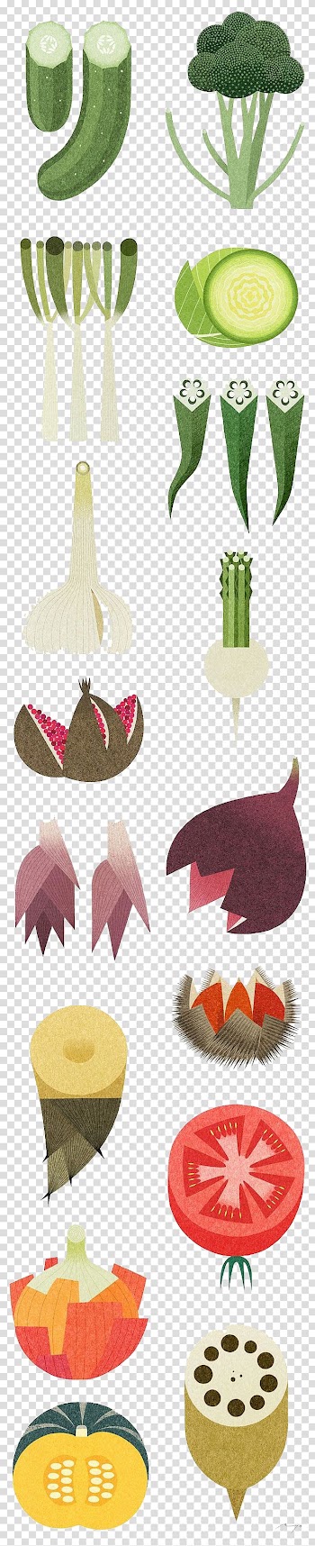 Vegetable Food Illustrator Illustration, vegetables transparent background PNG clipart