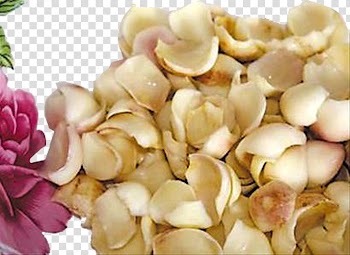 Vegetable Food, Lily vegetables transparent background PNG clipart