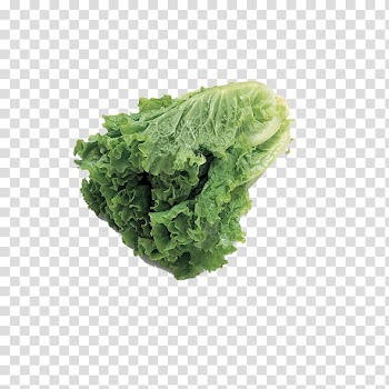 Vegetable Fruit Auglis Food Lettuce, Chinese cabbage transparent background PNG clipart