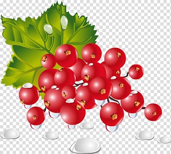 Vegetable Fruit Berry Food Dish, berries transparent background PNG clipart