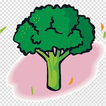 Vegetable Fruit Broccoli Food, vegetables,Fruits and Vegetables,Green,fruit,vegetables transparent background PNG clipart