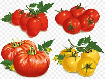 Vegetable, Fruit, Encapsulated Postscript, Natural Foods, Local Food PNG