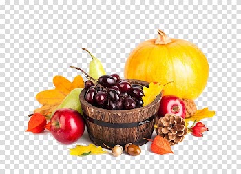 Vegetable Fruit Food Pumpkin, Fresh fruits and vegetables transparent background PNG clipart