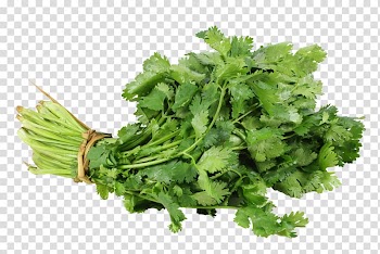 Vegetable Fruit Mercados Fruver Cultivo de hortalizas Coriander, Pak Choi transparent background PNG clipart