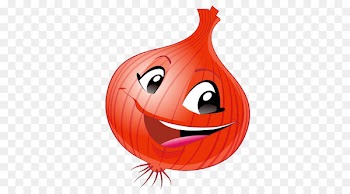Vegetable Fruit Onion Auglis If(we) - Cute big onions 