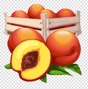 Vegetable Fruit Peach Box, Hand-painted peach transparent background PNG clipart