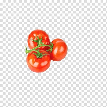 Vegetable Fruit Tomato Organic food, tomato transparent background PNG clipart