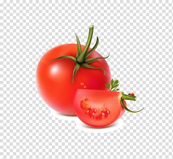 Vegetable Fruit Tomato, tomato transparent background PNG clipart