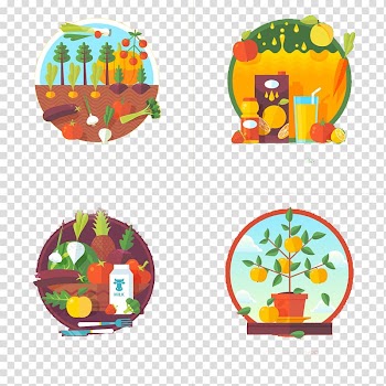 Vegetable Fruit, Vegetable food transparent background PNG clipart