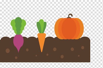 Vegetable Fruit, Vegetable planting material transparent background PNG clipart