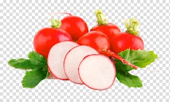 Vegetable Fruit WordCamp Israel Salad Cucumber, vegetable transparent background PNG clipart