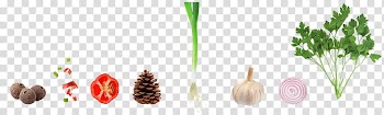 Vegetable Garlic Capsicum annuum Onion, Vegetable material transparent background PNG clipart