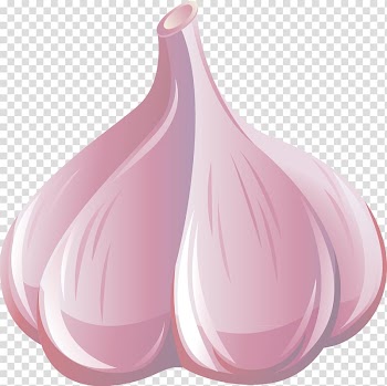 Vegetable Garlic Fruit Food, garlic transparent background PNG clipart