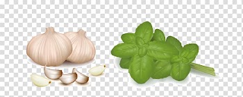 Vegetable , garlic transparent background PNG clipart