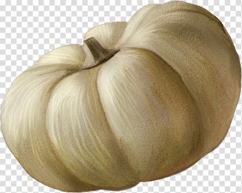 Vegetable Garlic , vegetable transparent background PNG clipart