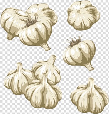 Vegetable Garlic , vegetable transparent background PNG clipart