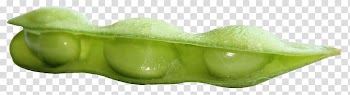 Vegetable Green Fruit, Fresh Soybean transparent background PNG clipart