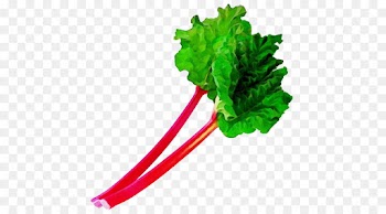 vegetable green leaf vegetable chard leaf