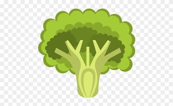 Vegetable Healthy Food Icon, Vector Illustration - Food