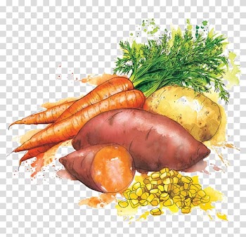 Vegetable Heinz Baby Food Watercolor painting, vegetable transparent background PNG clipart