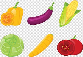 Vegetable Illustration, Illustration vegetables transparent background PNG clipart