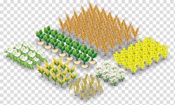 Vegetable Kitchen garden Грядка огородная Dacha, industrial revolution transparent background PNG clipart