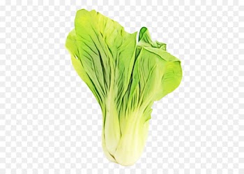 vegetable leaf vegetable plant food wild cabbage