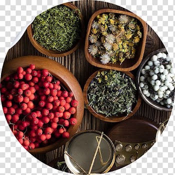 Vegetable Natural foods Spice Superfood, vegetable transparent background PNG clipart