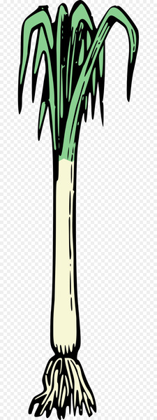 Vegetable, Onion, Scallion, Green, Plant Stem PNG