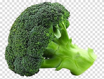 Vegetable Organic food Broccoli Seed Cauliflower, Vegetables broccoli, broccoli vegetable transparent background PNG clipart