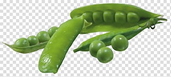 Vegetable Pea , Pea transparent background PNG clipart