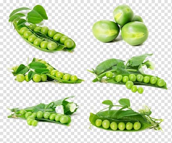 Vegetable Pea Tomato Potato, Fresh vegetables transparent background PNG clipart