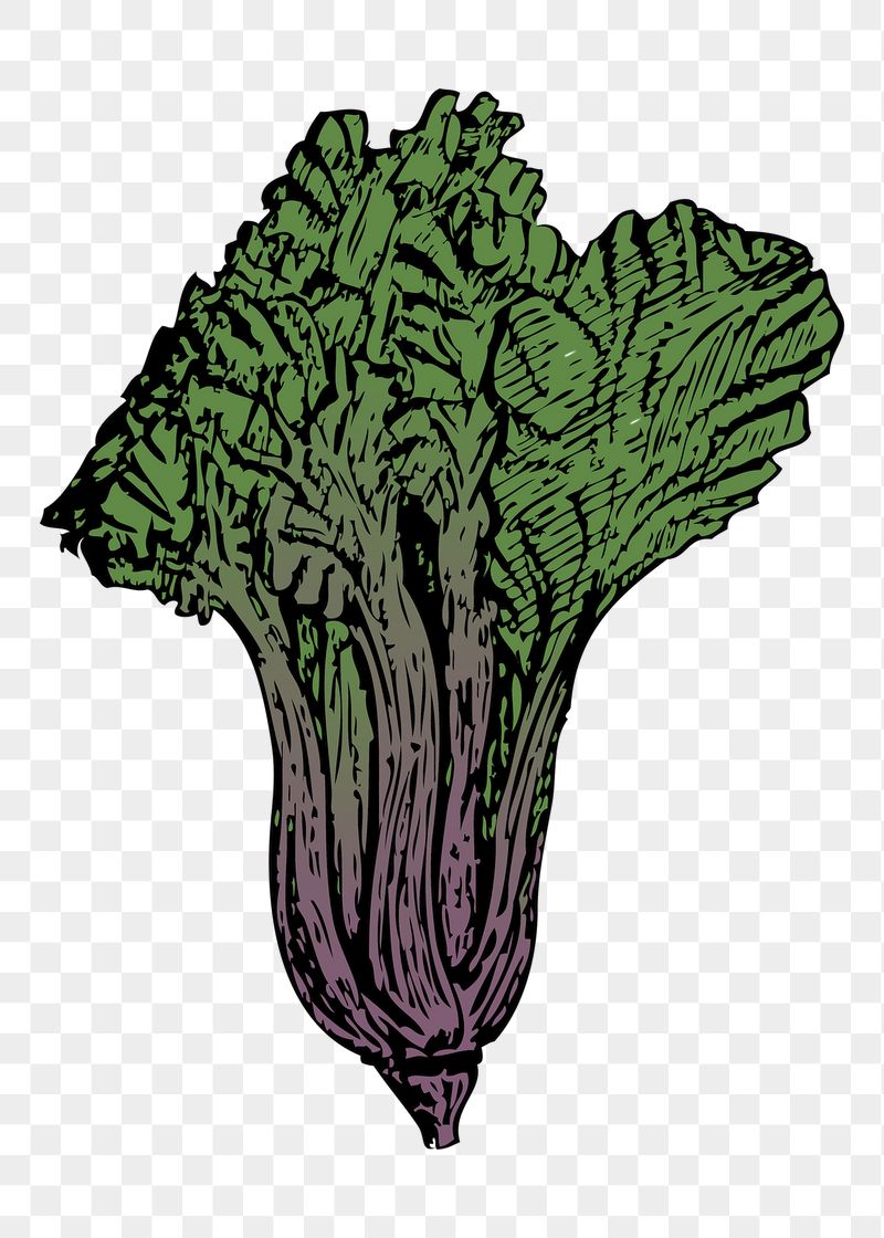 Vegetable png sticker illustration, transparent | Free PNG - rawpixel