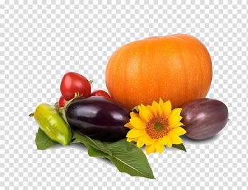 Vegetable Pumpkin Orange Fruit, Squash and eggplant and flowers transparent background PNG clipart