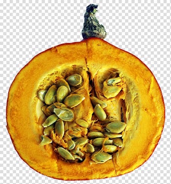Vegetable Pumpkin pie Cucurbita Food, vegetable transparent background PNG clipart