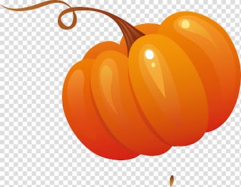 Vegetable Pumpkin Salad, Vegetable decoration designer transparent background PNG clipart