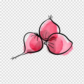 Vegetable Radish Ingredient Tomato, onion transparent background PNG clipart
