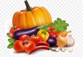 Vegetable Royalty-free Illustration - Beautifully pumpkin fresh vegetables vector material 