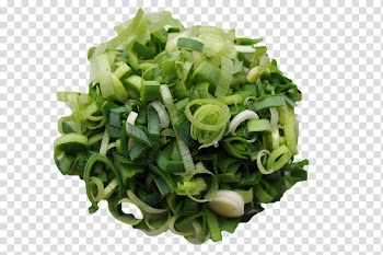 Vegetable salad, Leek Onion Garlic Vegetable Food, chopped green onion transparent background PNG clipart