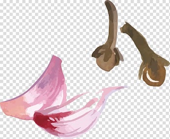 Vegetable Spice Garlic Herb, Vegetable Decoration Design transparent background PNG clipart