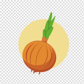 Vegetable Tomato, A germinated onion transparent background PNG clipart